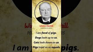 Winston Churchill's Quotes that tell a lot about ourselves | #shorts #Winston Churchill's