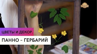 Панно – гербарий \\ Цветы и декор.