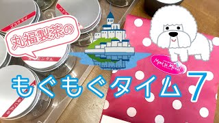 【チーズケーキを食べる】丸福製茶のもぐもぐタイム７【静岡の洋菓子屋】