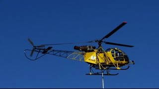 Elagage par hélicoptère près des lignes EDF / Helicopter branch cutting near power lines