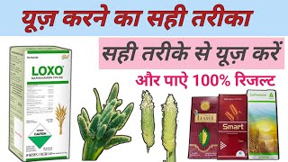 गेहूं मे मुंडिया ख़त्म करें ||sulfosulfuron 75 wg ||sulfosulfuron herbicide ||loxo sulfosulfuron