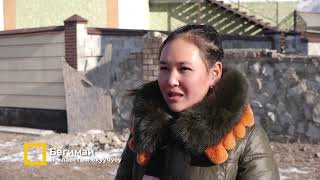 Малды жасалма жол менен уруктандыруу | Элет деми #helvetaskyrgyzstan #bizdintv