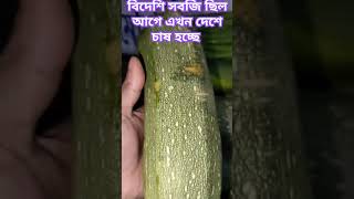 বিদেশি সবজি ছিল এখন দেশে চাষ হচ্ছে #bangladesh #food #viralvideo