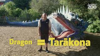 Te Wiki o Te Reo Māori with Hōhepa - Tarākona