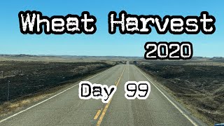 Wheat Harvest 2020 - Day 99