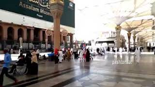 Pashto new naat sharif/پشتو نوے خوگ نعت شریف