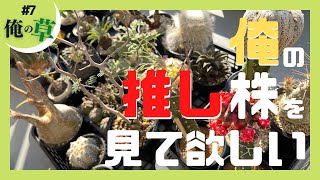 俺の推し株を見て欲しい【#7 俺の草】