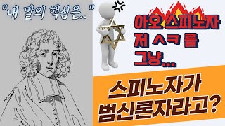 스피노자의 범신론 제대로 알기(Ft. 리처드 도킨스)