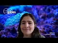 ipbes8 indigenous and local knowledge task force workplan