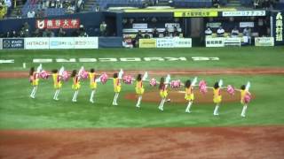 タイガースガールズ(2014/4/2京セラドーム)[阪神15-0中日]