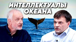 Интеллектуалы океана: как глубоко мы знаем морских млекопитающих. Вопрос науки. Семихатов – Глазов