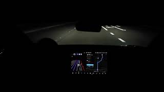 Tesla FSD beta sees a deer in my headlights.  (poor audio)