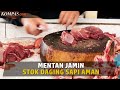 Mentan Pastikan Stok Daging Sapi Cukup untuk Masyarakat Indonesia