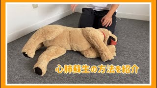 救える命を救うために心肺蘇生を紹介