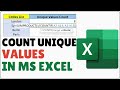 How to Count Unique Values in Excel | Count Distinct Values