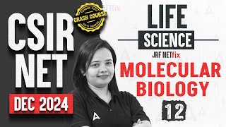 CSIR NET Dec 2024 Life Science | Molecular Biology Day: 12 | Crash Course | CSIR NET Adda247