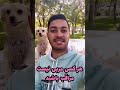 مراقب باشید هر مربی دنبال نکنی