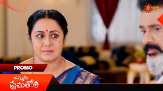 Ammaku Prematho- Promo | 19 Nov 2024  | Gemini TV Serial | Telugu Serial