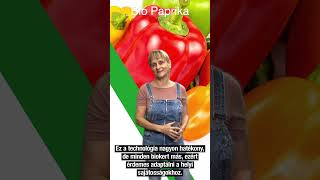 Székely Gyöngyvér teljes Bio paprika palántanevelés technológiája