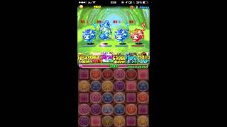 【パズドラ】 水の猫龍 超地獄級 Sランク 【回復パ】