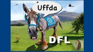 THE DFL PARTY:  Minnesota's 'Fixer Upper' Political Party