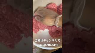 ハンバーグこねる（音あり）