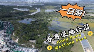 【香港好去处】湿地公园｜Hong Kong Wetland Park tour ｜航拍