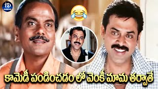 కామెడీ పండించడం లో వెంకీ మామ తర్వాతే  | Venky Mama Back To Back Comedy Scenes | iDream Celebrities