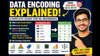 Data Transformation & Encoding Made Simple