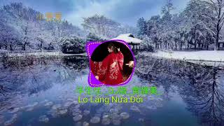 半生忧 _DJ版_ （Lo Lắng Nửa Đời) 黄静美 #抖音热门最好听的歌曲2022 🔥