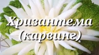 Хризантема из пекинской капусты