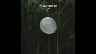 Trachimbrod - Rum Utan Fönster