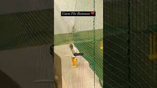 Ms dhoni started batting practice for IPL 2025 #chennaisuperkings #csk