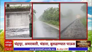 Vidharbha Rain : चंद्रपूर, अमरावती, भंडारा, बुलढाण्यात मुसळधार पाऊस; शेतकरी सुखावला ABP Majha