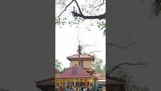 puthanalkkal Temple #palakkad #pieceofmind