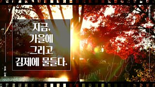 김제시 [김제지평선TV]지금, 가을에 그리고 김제에 물들다.(2022가을영상)