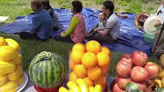 송가인 엄마 국가무형문화재 72호 진도씻김굿 전수조교인 송순단 명인 [초계최씨 산신 청도재.2부]