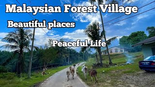 Malaysian  Village Life | Tour In Best Places | Natural Beauty Of Malaysia 🇲🇾