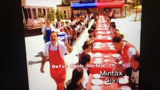 1995: MINTAX SIVI.