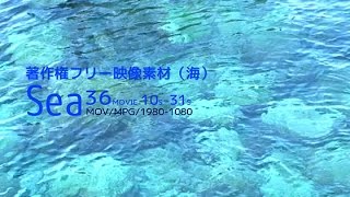 著作権フリー映像素材（海シリーズ）商用利用可能！ 収録数：36movies