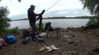 🐳НАРОДНИЙ ФІДЕР🐳ЛЯЩ🐳 РИБАЛКА 2025🇺🇦