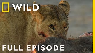 Savage Kingdom: A New Dynasty (Full Episode) | National Geographic
