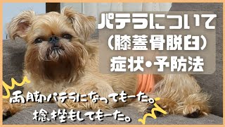 【犬の膝蓋骨脱臼】捻挫＆両脚パテラ発覚…グレードごとの症状や予防法を知って愛犬を守ろう。