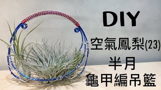 DIY wire 教你如何使用彩色鋁線製作空氣鳳梨  半月龜甲編吊籃  How to make Aluminum wire Air plant