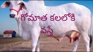 గోమాత కలలోకి వస్తే (Gomatha  kalaloki vasthe)