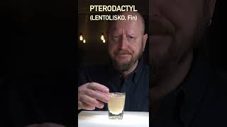 Pterodactyl (Lentolisko, Fin)