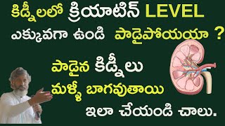 best solution for kidney function.|| Tella Galjeru || Dr.Ramachandra|Health Bhumi|