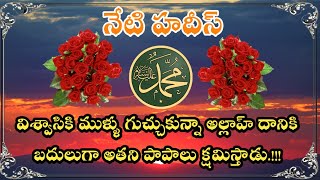 తెలుగులో హదీస్ | Telugulo Hadith | Hadith in Telugu | సహనం హదీస్#10 | Hadith on Patience