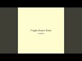 Fragile Dream Silver