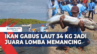 Kompetisi Memancing Fish Camp 2024 di Situbondo Sensasi Tangkap Ikan Jumbo Sepanjang Dua Meter